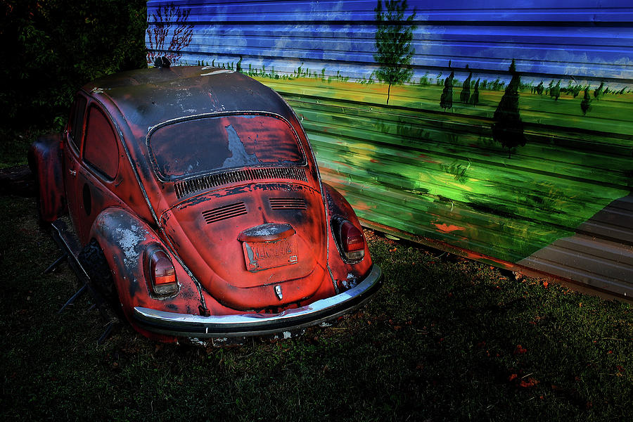 Painted  VW Photograph by Buck Buchanan