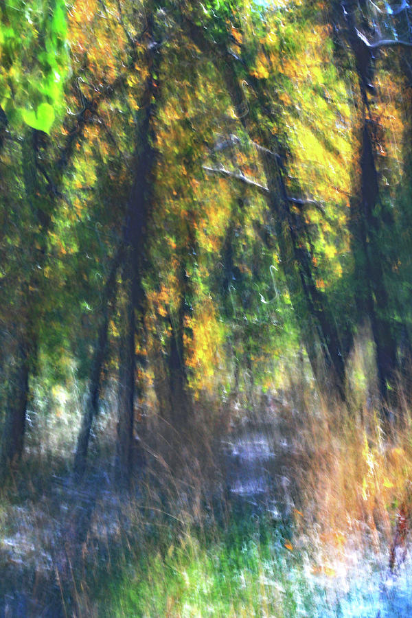 Painterly 1011 Photograph by Dawn Marshall