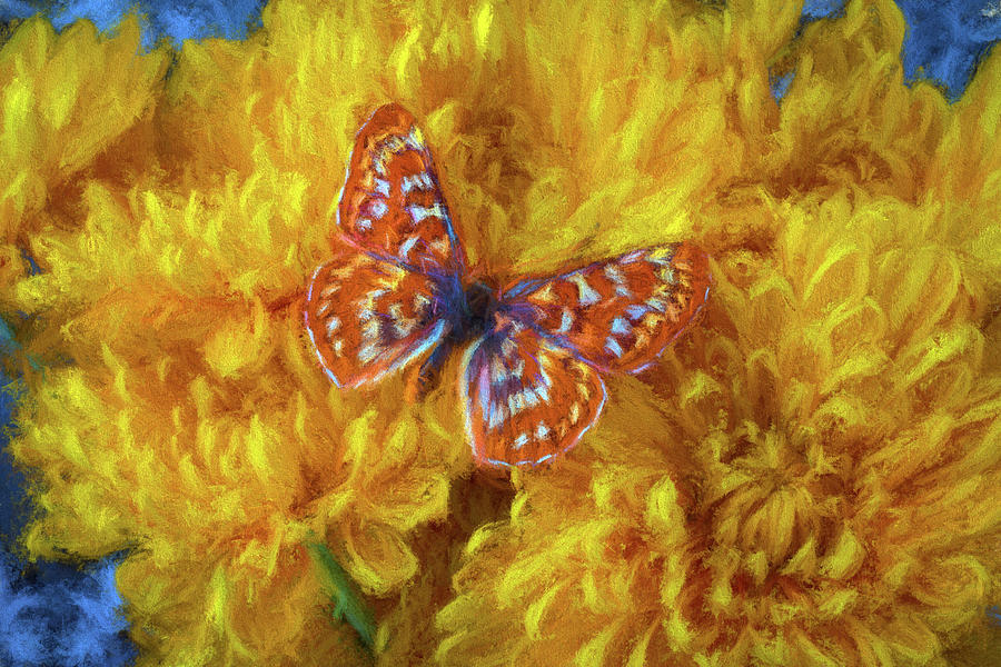 Painterly Butterfly Photograph by Garry Gay