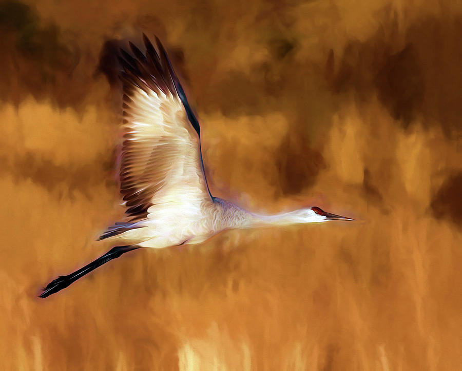 Painterly Crane by Scott Bourne Painterly Crane by Scott Bourne