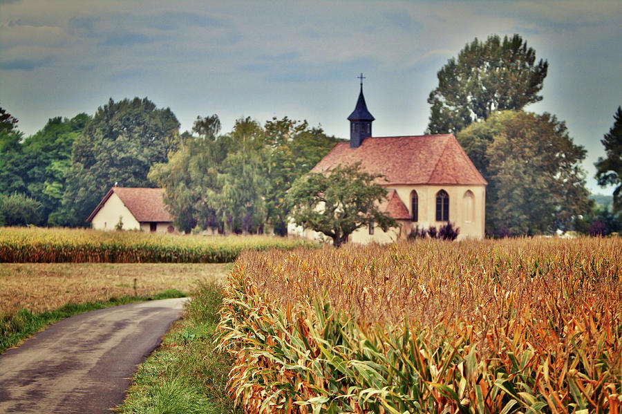 Architecture Photograph - Painterly French Cornfield In Autumn by Kelly Sillaste