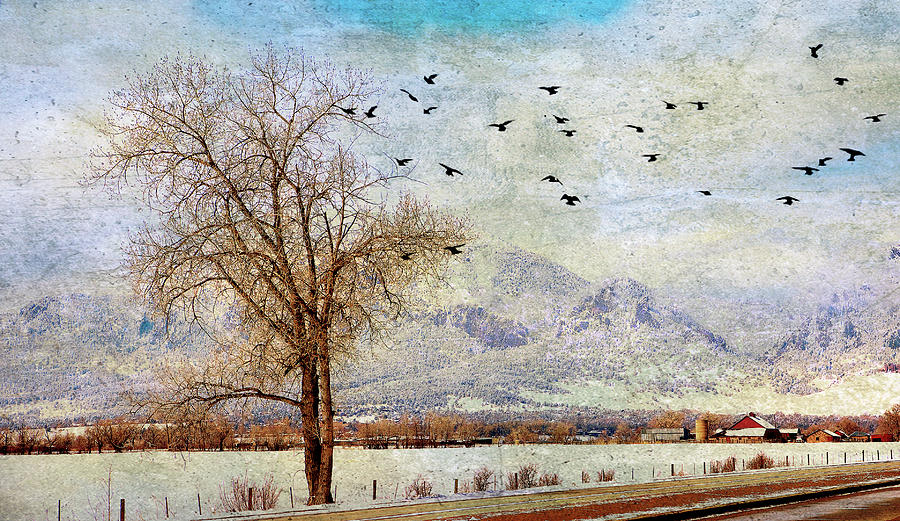 Painterly Past Photograph by Marilyn Hunt