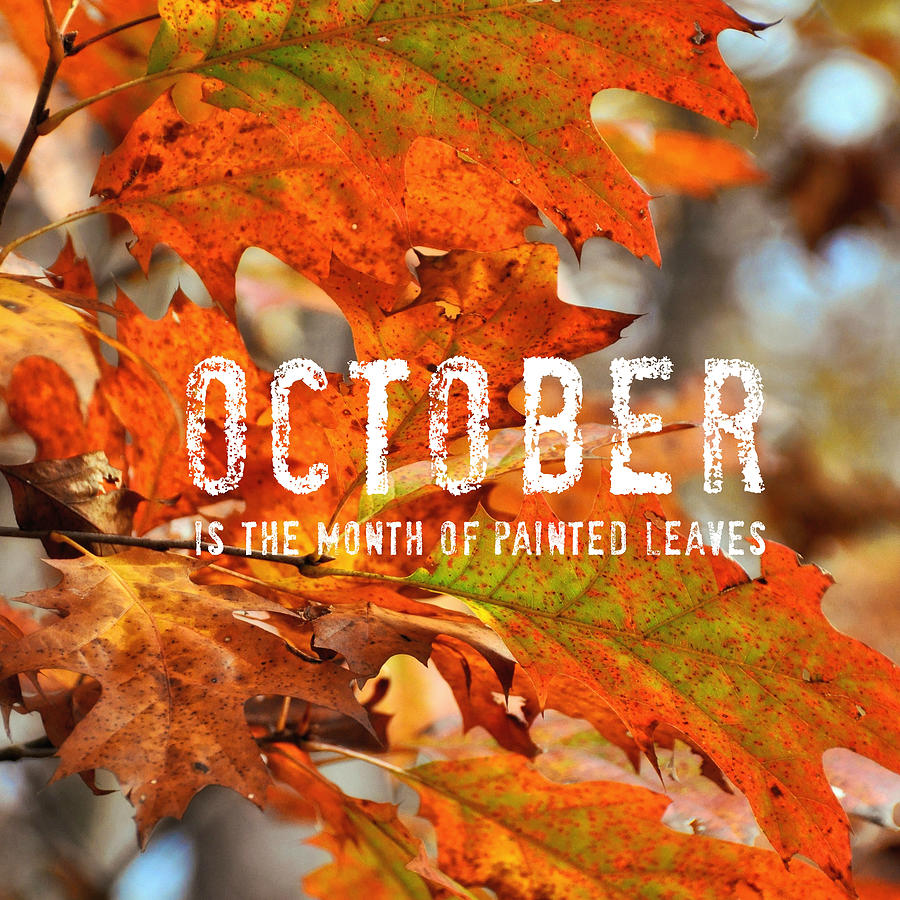 PAINTING LEAVES quote Photograph by Jamart Photography