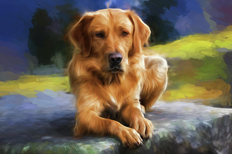 Painting of a Golden Retriever Painting by Doreen Erhardt