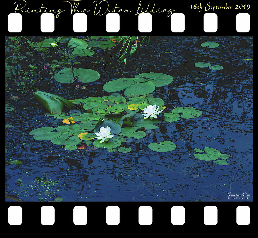 Painting The Water Lillies by Lance Sheridan-Peel Painting The Water Lillies by Lance Sheridan-Peel