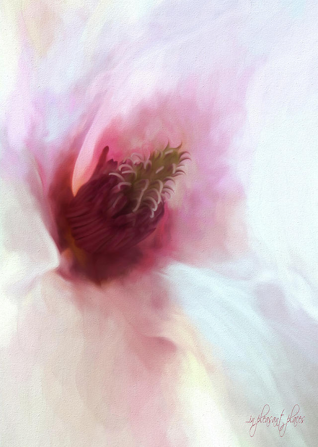 Painting with Flowers Digital Art by Joanna Kovalcsik
