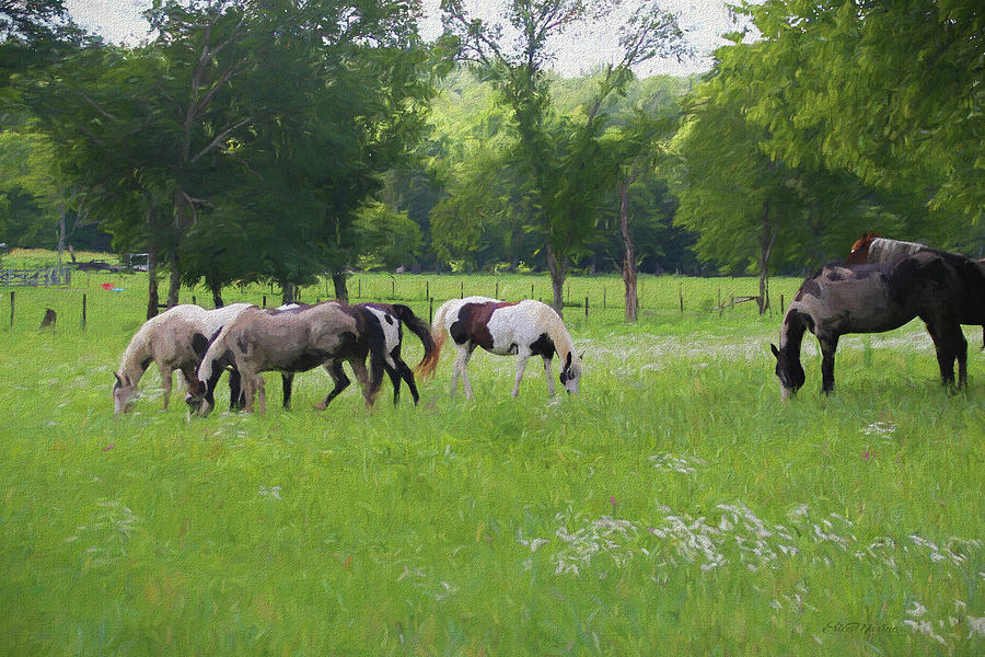 Paints and Pinto Herd 1367 - Painted by Ericamaxine Price Paints and Pinto Herd 1367 - Painted by Ericamaxine Price