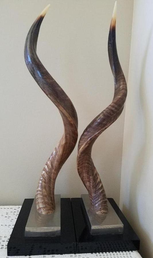 Pair of Kudu Mounted Horns Sculpture by R Company