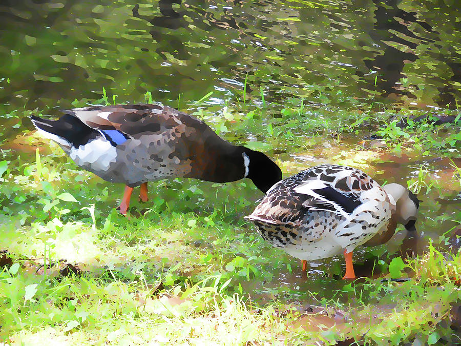 Pair of mallard duck 7 Painting by Jeelan Clark