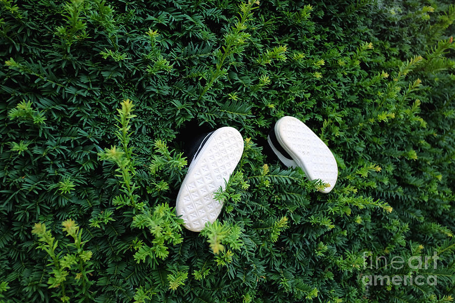 Pair Of Small Shoes Sticks Photograph by Stanislaw Pytel Pair Of Small Shoes Sticks Photograph by Stanislaw Pytel