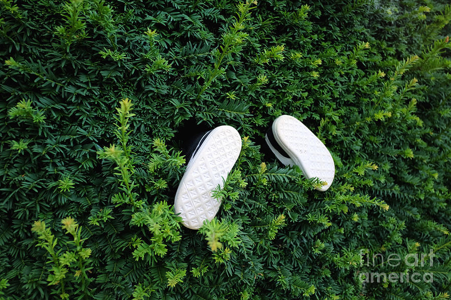 Pair Of Small Shoes Sticks Photograph by Stanislaw Pytel