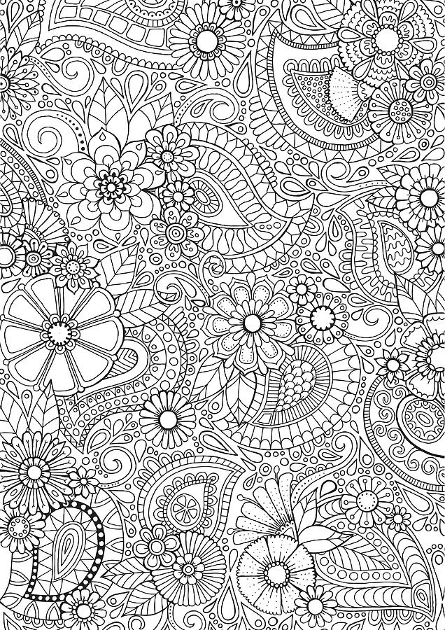 Paisley Blooms Digital Art by Hello Angel - Pixels