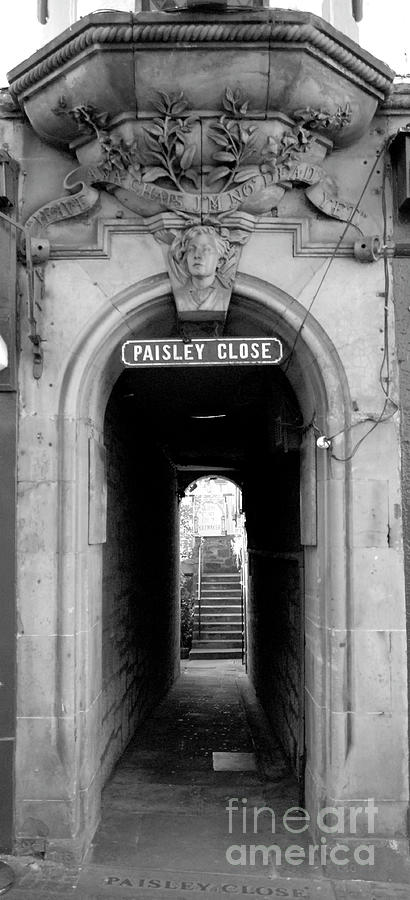 Paisley Close Photograph by Denise Bruchman
