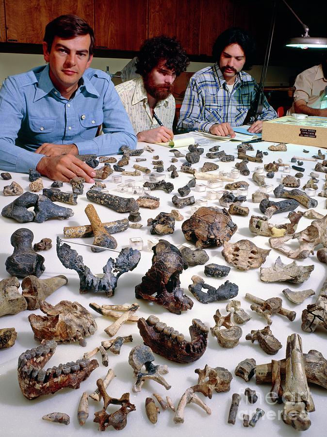 Palaeoanthropologist Donald Johanson Photograph by John Reader/science Photo Library