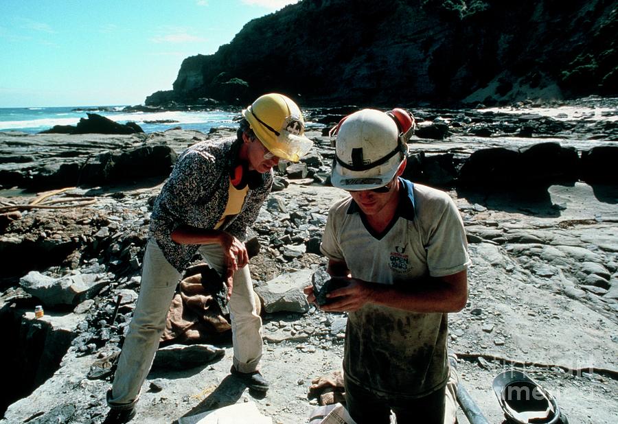 Palaeontologists At Work Photograph by Peter Menzel/science Photo Library