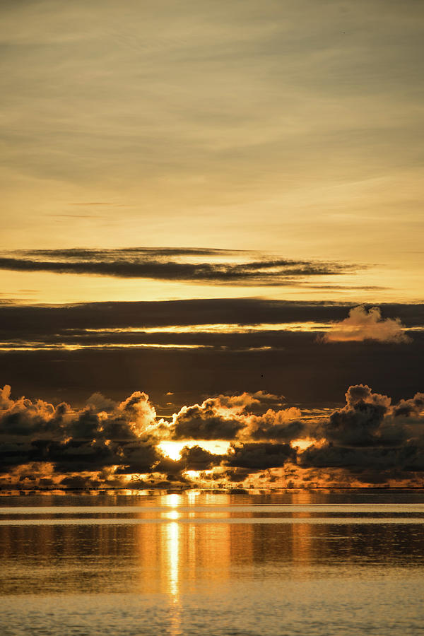 Palaus Golden Sunset Photograph by Harry Donenfeld