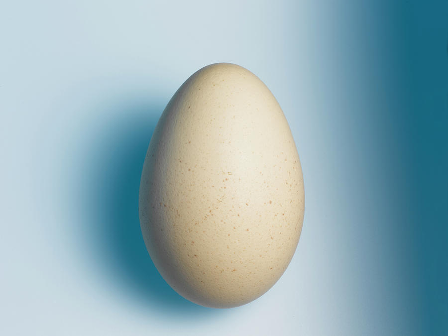 Pale Egg Against Blue Photograph by Adrian Burke