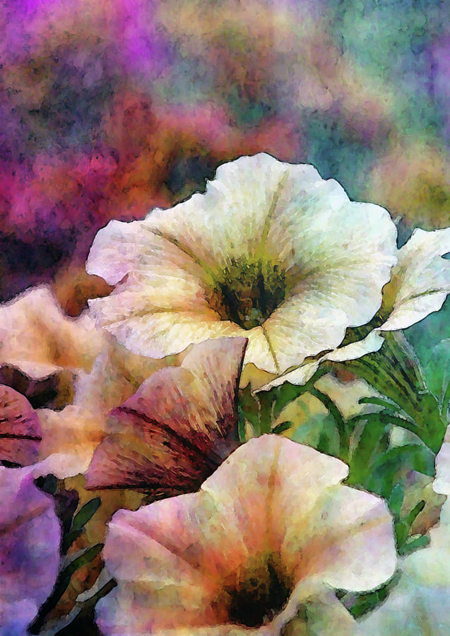 Pale Petunias 6465 IDP_2 Photograph by Steven Ward