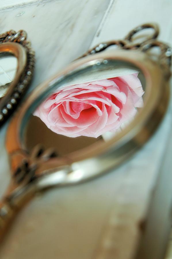 Pale Pink Rose Reflected In Antique Hand Mirror Photograph by Christophe Madamour