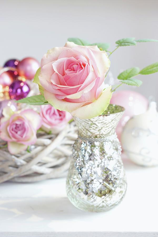 Pale Rose In Mercury Silver Vase Photograph by Angelica Linnhoff
