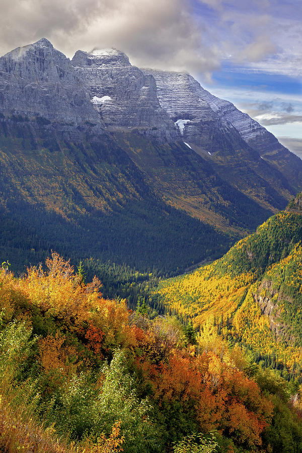 Palette of Autumn in Glacier Photograph by Jack Bell