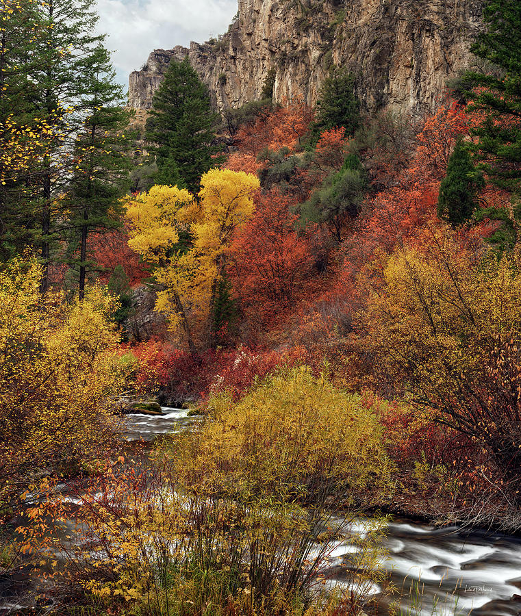 Palisades Creek Canyon Photograph by Leland D Howard