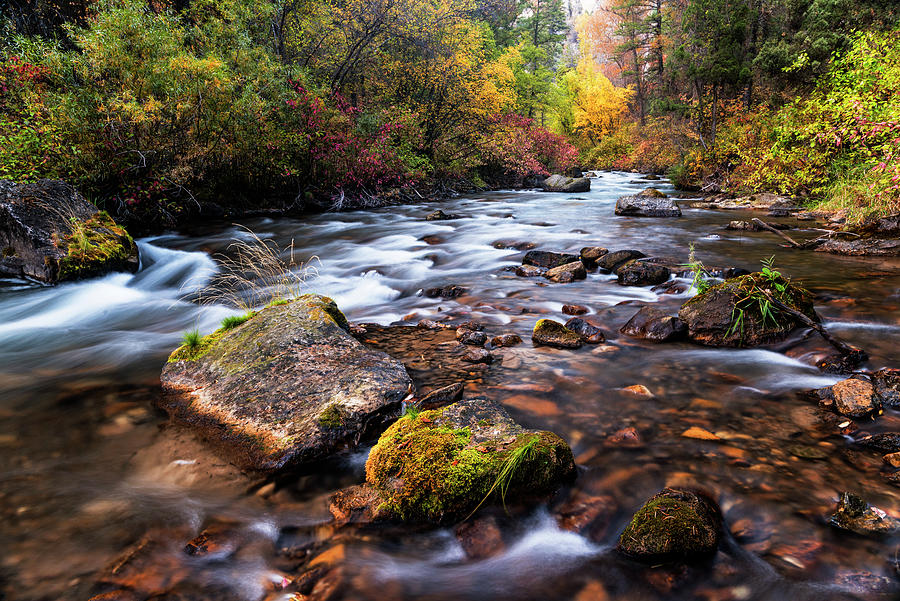 Palisades creek Idaho USA in autumn Photograph by Vishwanath Bhat