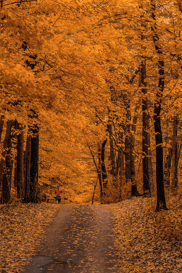 Palisades Park in Decorah, Iowa Photograph by Brian Abeling - Fine Art ...