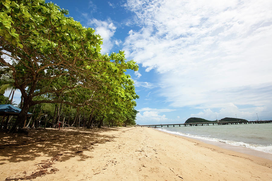 Palm Cove, Cairns, Australia Photograph by Alvarez Palm Cove, Cairns, Australia Photograph by Alvarez