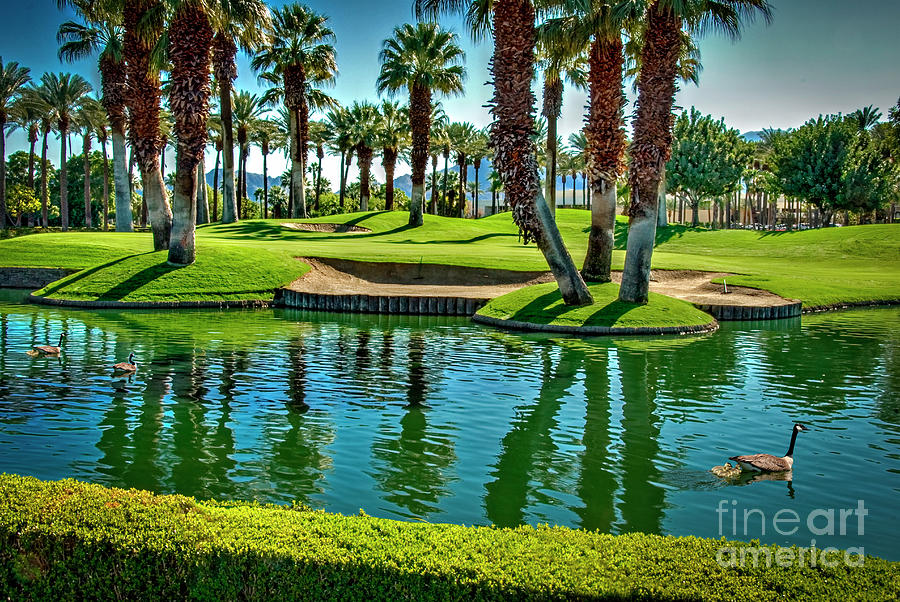 Lets Play Golf Palm Desert  Photograph by David Zanzinger