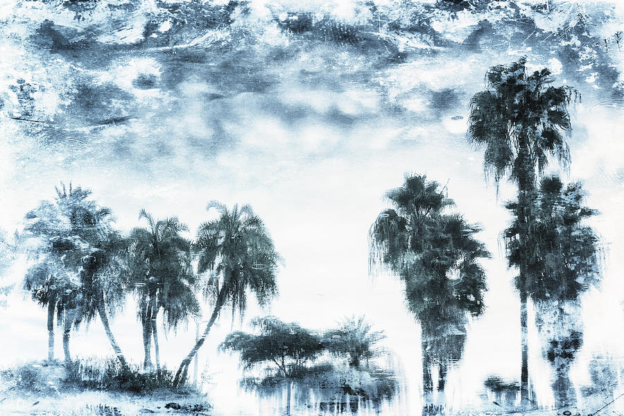 Palm Ice 2 Photograph