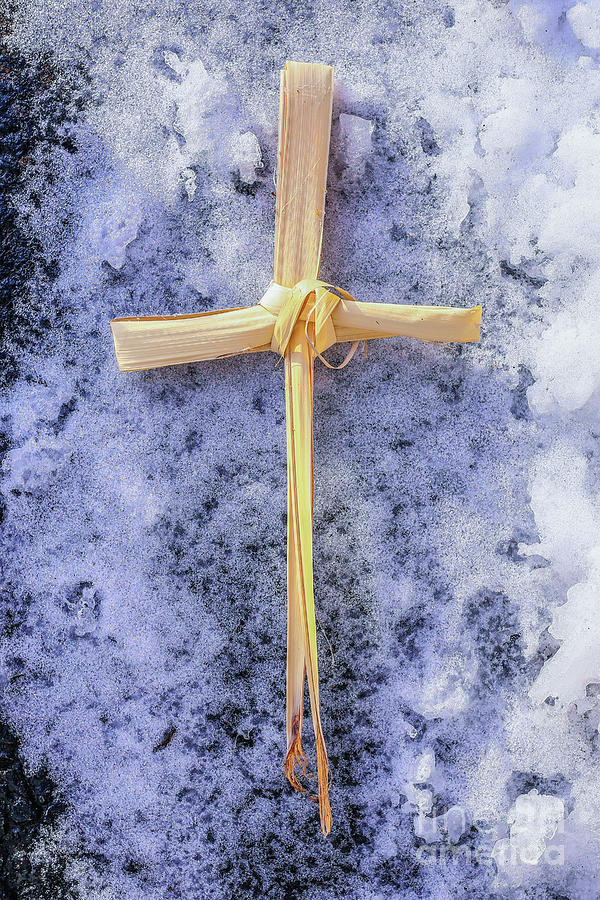 Palm Leaf Cross on Snow Photograph by Randy Steele
