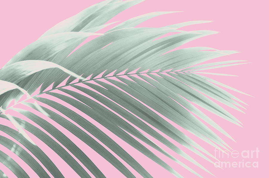 Nature Photograph - Palm Leaf Pastel Vibes #1 #tropical #decor #art by Anitas and Bellas Art
