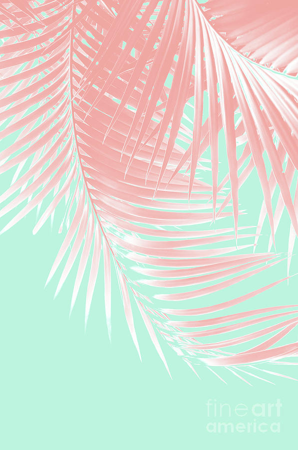 Nature Mixed Media - Palm Leaves Summer Vibes #9 #tropical #decor #art by Anitas and Bellas Art