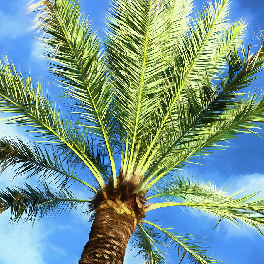 Paradise Photograph - Palm Life - #3 by Stephen Stookey