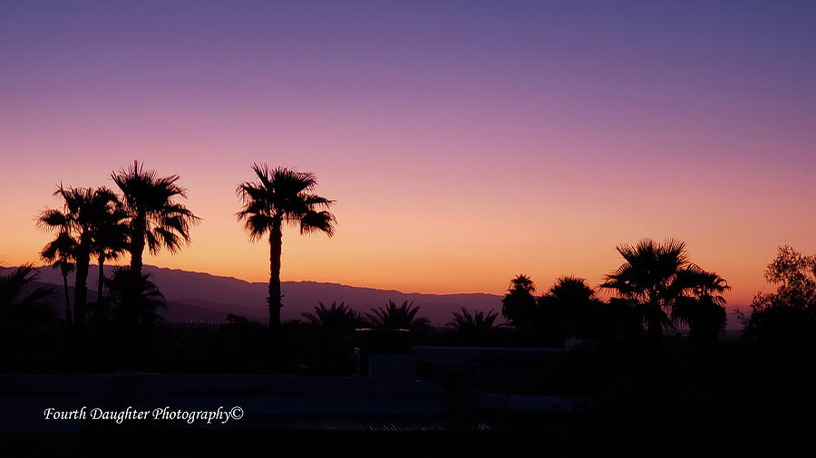 Palm Springs Sunrise Photograph by Diane Shirley