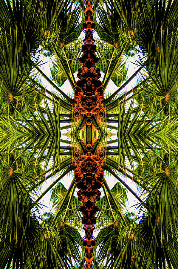 Palm Tree Abstract Digital Art by Paul Coco