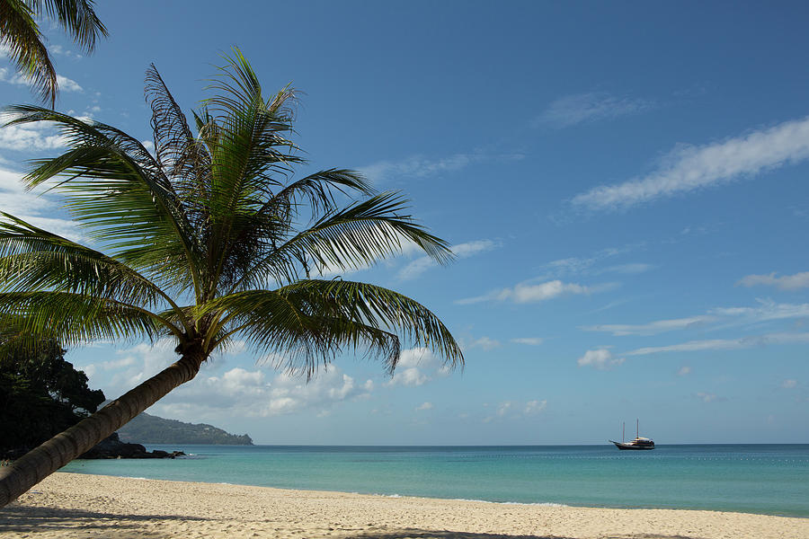 Palm Tree And Blue Sky At Surin Beach, Phuket, Thailand Digital Art by ...