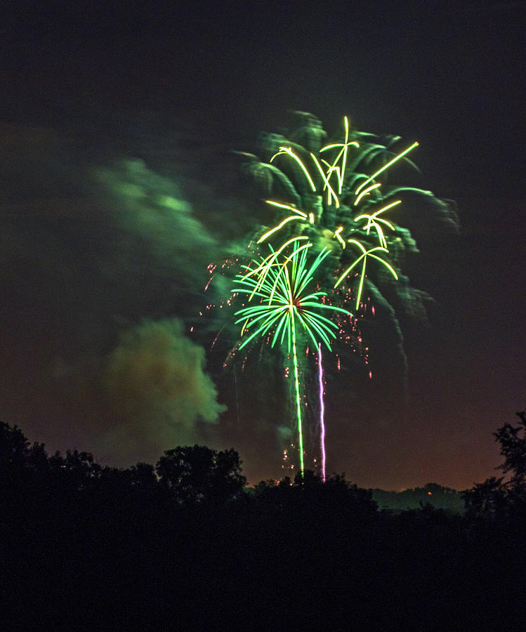 Palm Tree Fireworks Photograph by Ira Marcus Pixels