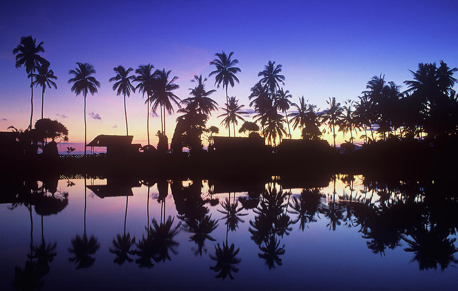 Palm Tree Lagoon At Sunset Photograph by Otto Stadler