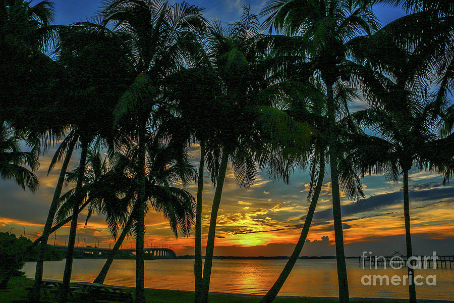 Palm Tree Lagoon Sunrise Photograph by Tom Claud