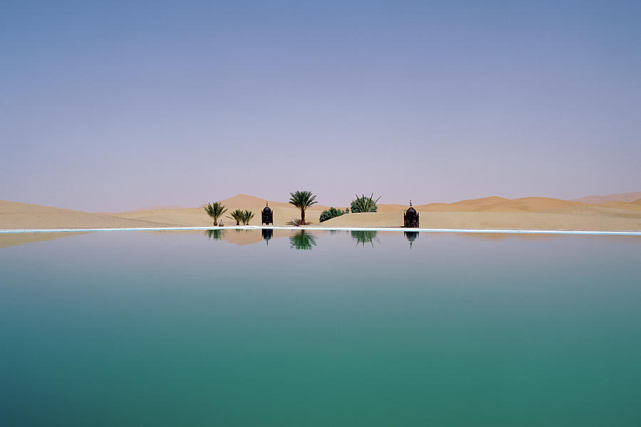 Nature Digital Art - Palm Tree Reflection In Desert by Simon Mccomb