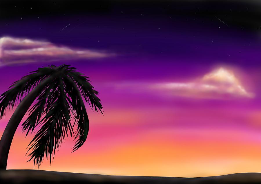 Palm Tree Sunset Digital Art by Becky Markwick - Fine Art America