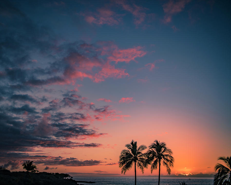 Honolulu Photograph - Palm Tree Sunset by The Hiking Mermaid