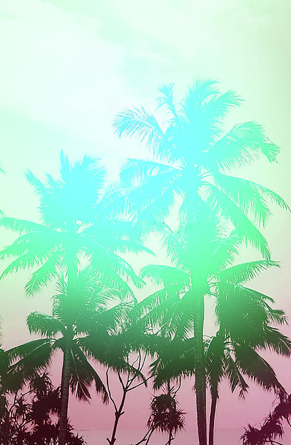 Palm Tree Digital Art by Zayeda Purnama