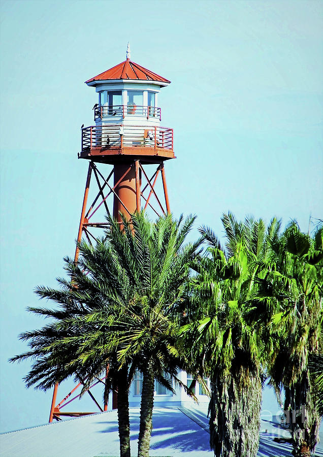 Palm Trees And A Lighthouse Photograph by D Hackett