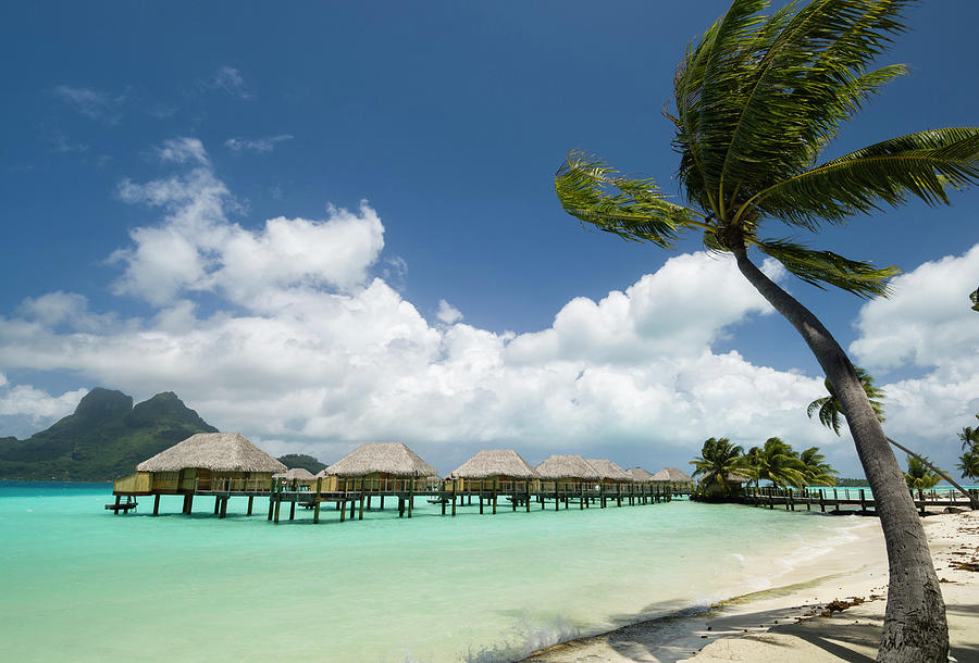 Palm Trees And Beach Resort Stilt Houses, Bora Bora, French Polynesia ...