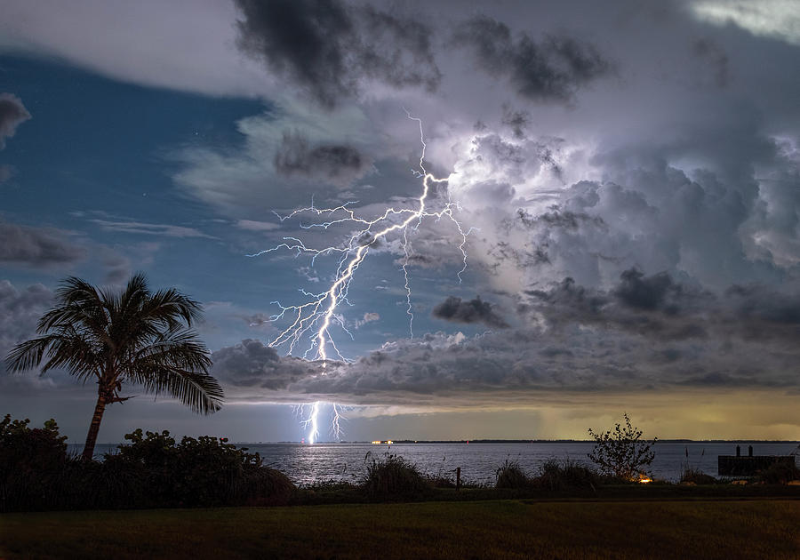 Palm Trees and Lightning Photograph by Justin Battles