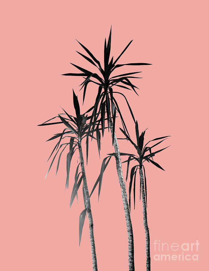 Nature Mixed Media - Palm Trees - Apricot Blush Cali Summer Vibes #1 #decor #art by Anitas and Bellas Art
