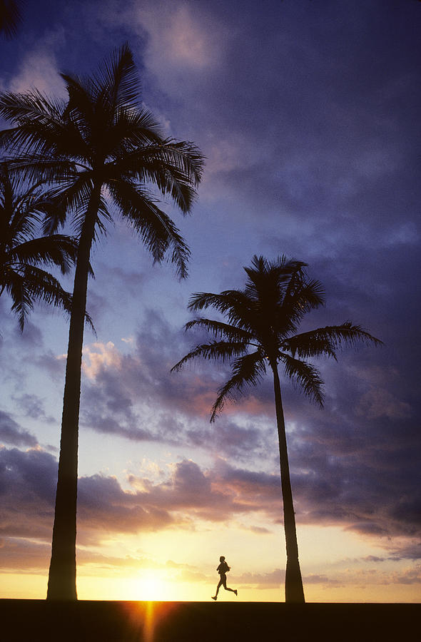 Palm Trees At Sunset, Woman Jogs Past Photograph by Design Pics/carl Shaneff